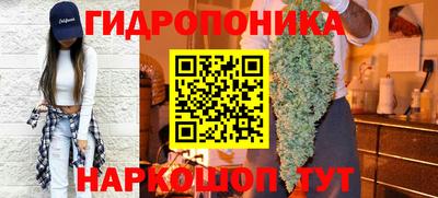 a pvp Пенза